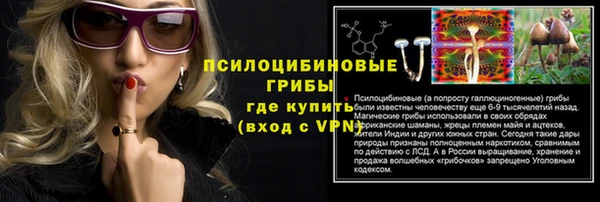 наркотики Новозыбков