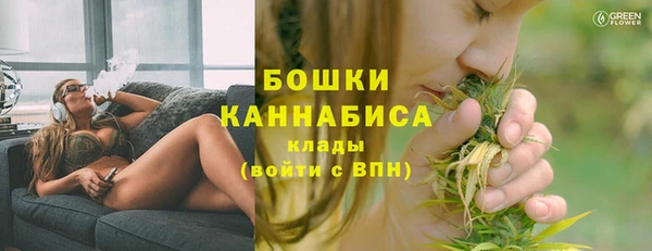 амф Новодвинск
