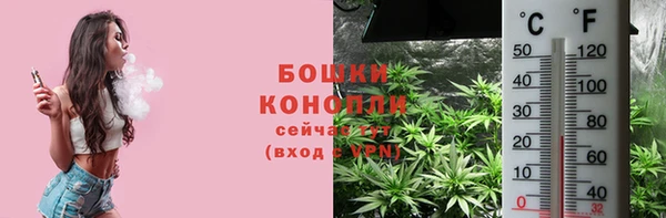 амф Новодвинск