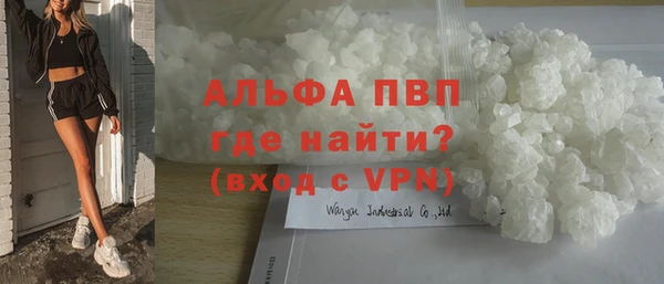 амф Новодвинск