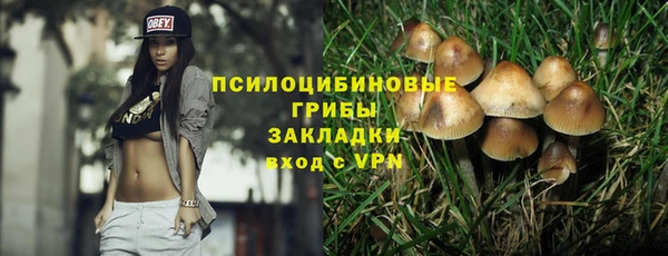 амф Новодвинск