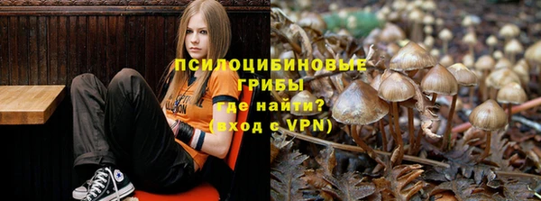 амф Новодвинск