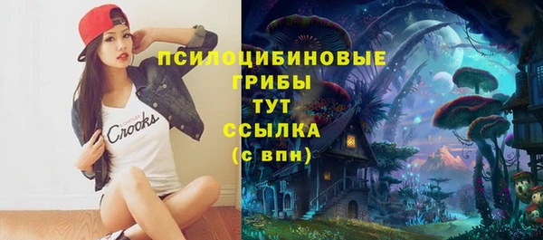 альфа пвп Новокубанск