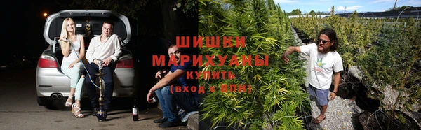 альфа пвп Новокубанск