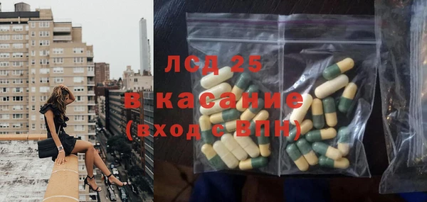 амф Новодвинск