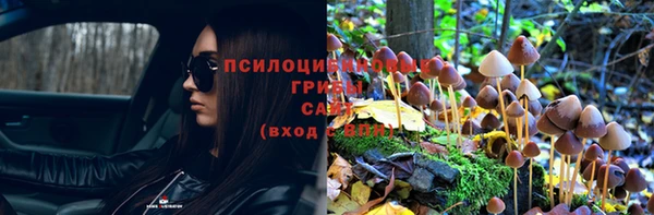 амф Новодвинск