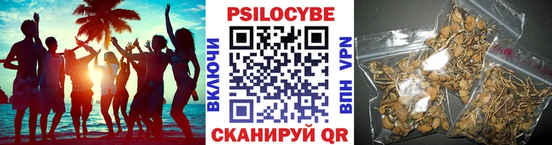 Галлюциногенные грибы Psilocybine cubensis Электроугли